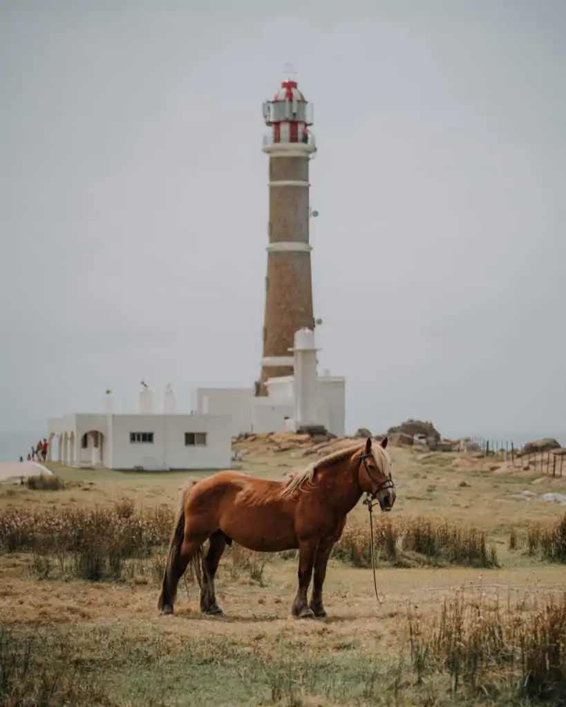 Lighthouse & horse