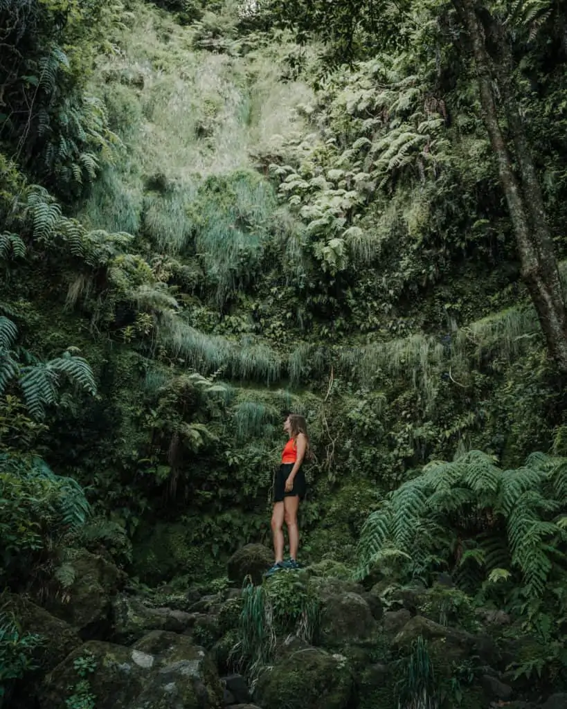 levada do caldeirao verde Madeira best photospots on Madeira