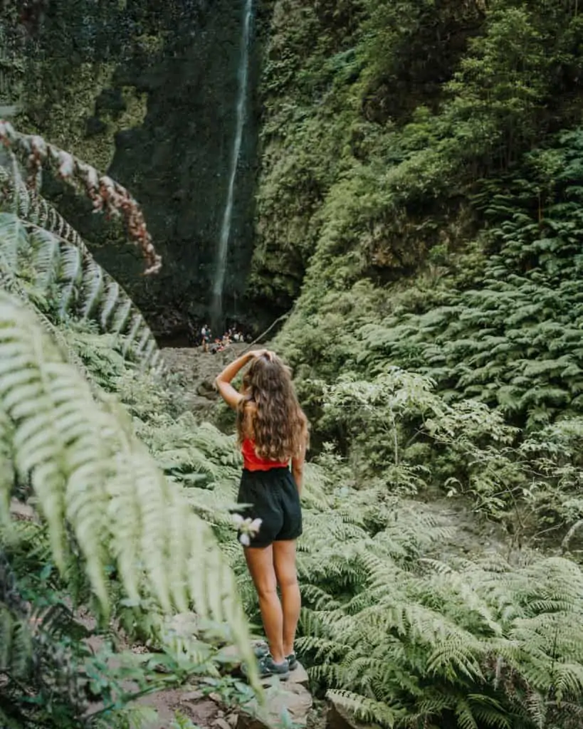 waterfall on levada do caldeirao verde madeira