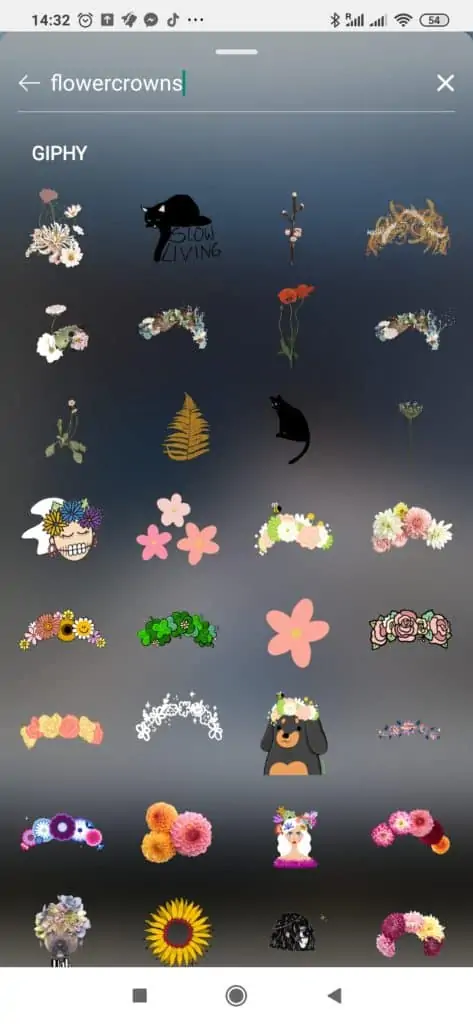 flowercrowns stories stickers for instagram