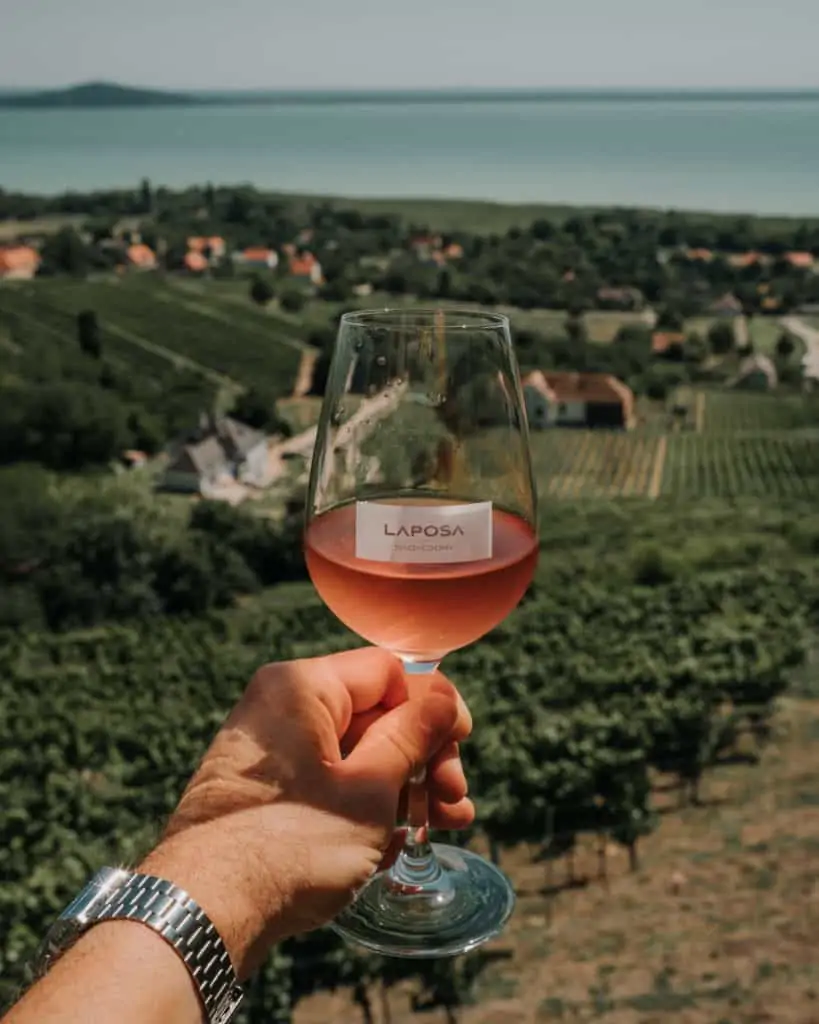 kieliszek wina Balaton najlepsze winnice winnica Laposa