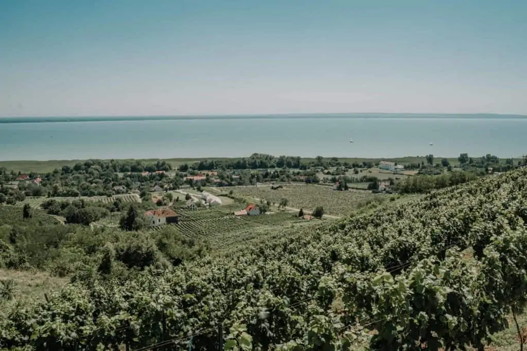 balaton wineries laposa birtok badacsony