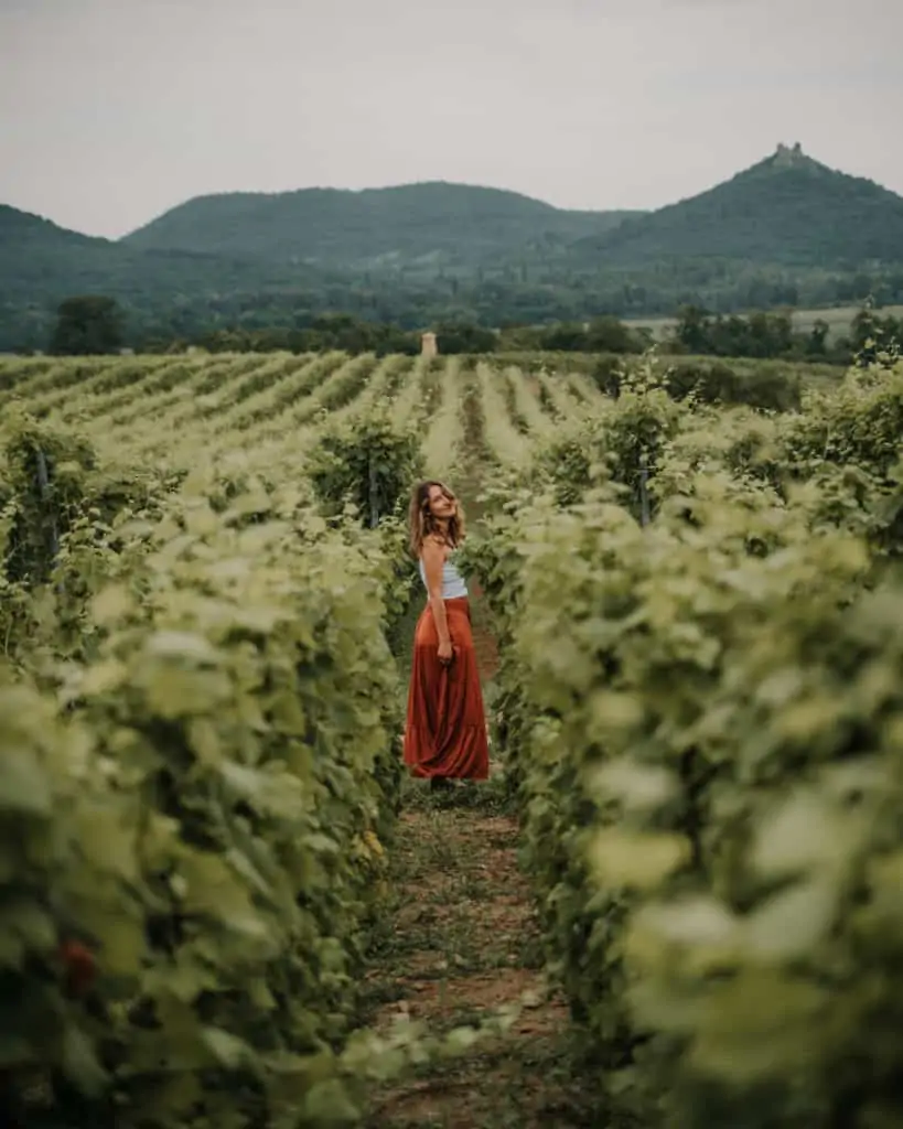 dziewczyna winnice węgry winnica nad Balatonem Szaszi Pince