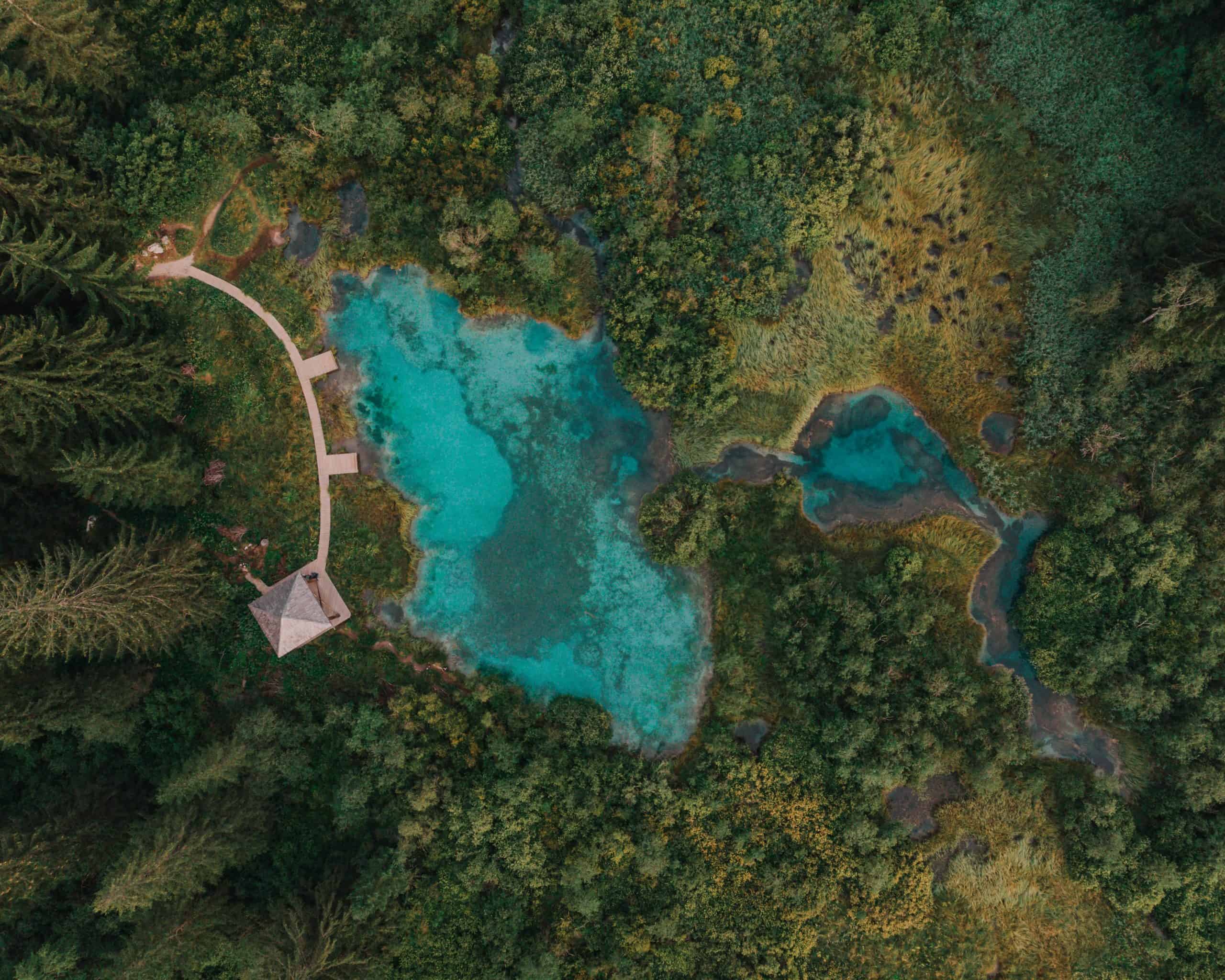 zelenci naturalny rezerwat co zobaczyć w słowenii europa