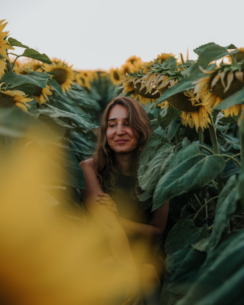 sunflowers portait balaton what to do