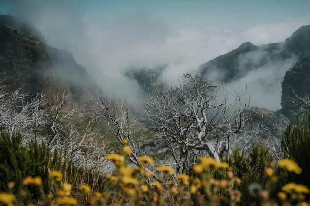 pico areeiro hike madeira