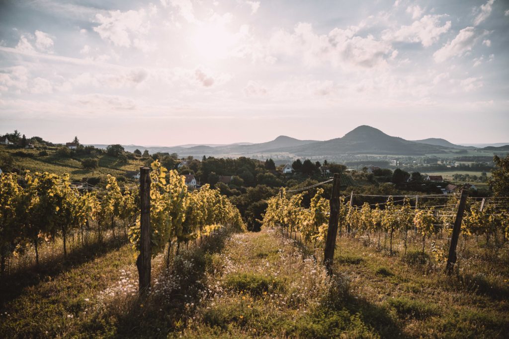 sunrise over wineries badacsony balaton