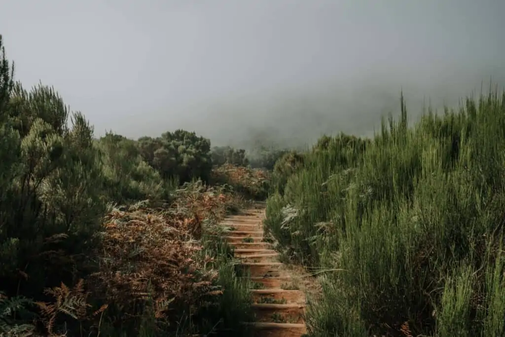 Madeira best hikes