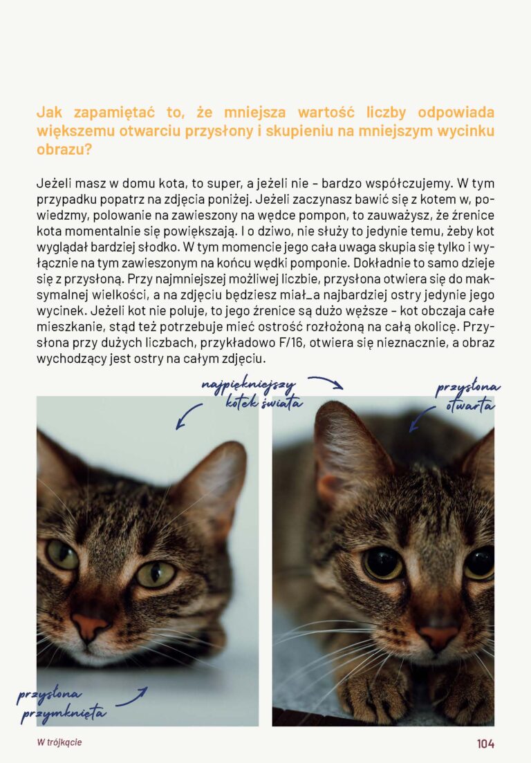 lost italianos str 104