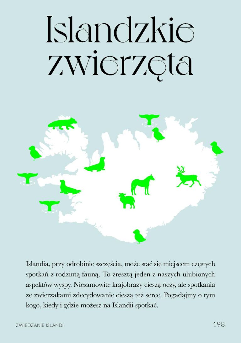 Book ISLANDIA 25.08.24_Strona_198